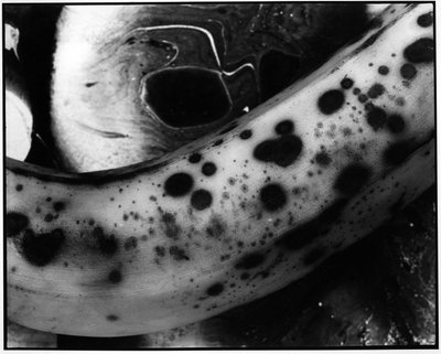 Banane. von Unbekannt