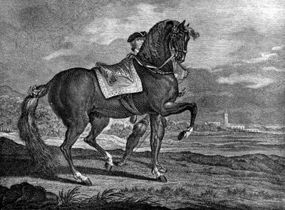 Barb, 1722, 1938 alkotó: Unbekannt