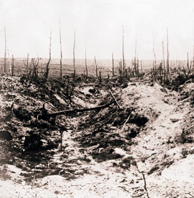 Battlefield, c1914-c1918 alkotó: Unbekannt