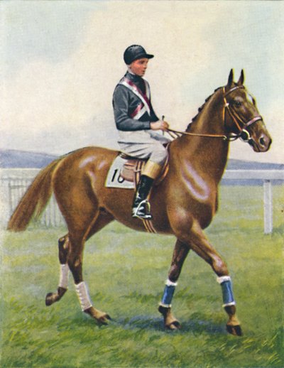 Csatahajó, Jockey: B. Hobbs, 1939 alkotó: Unbekannt