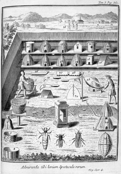 Méhészet, 1775 alkotó: Unbekannt