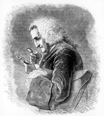 Bernard de Jussieu, 18. századi francia botanikus, 1880 alkotó: Unbekannt