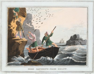 Madárfogás alulról, Shetland-szigetek, 1813 alkotó: Unbekannt