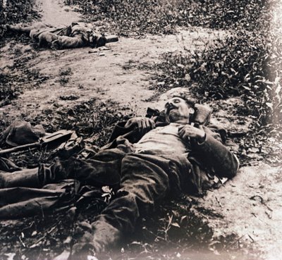 Halott katonák holttestei, c1914-c1918 alkotó: Unbekannt