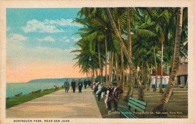 Borinquen Park, San Juan közelében, 1909 alkotó: Unbekannt
