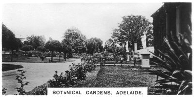 Botanikus kert, Adelaide, Ausztrália, 1928 alkotó: Unbekannt