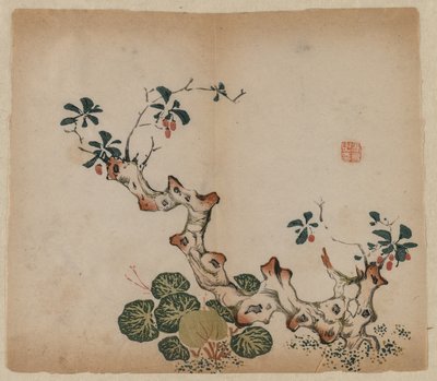 Elágazó csonk, 1368-1644. alkotó: Unbekannt