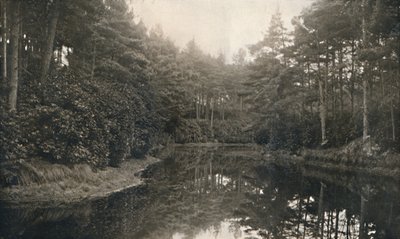 Bransome Chine and Lake, 1910 alkotó: Unbekannt