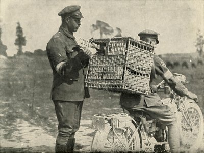 Brit hadsereg szállítógalambjai Franciaországban, 1919. alkotó: Unbekannt