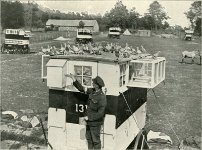 Brit hadsereg szállítógalambjai Franciaországban: Lóvontatású loftok, 1919. alkotó: Unbekannt