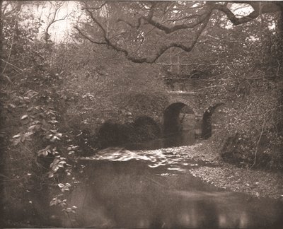 Brook and Bridge in the New Forest, Hampshire, 1894. alkotó: Unbekannt