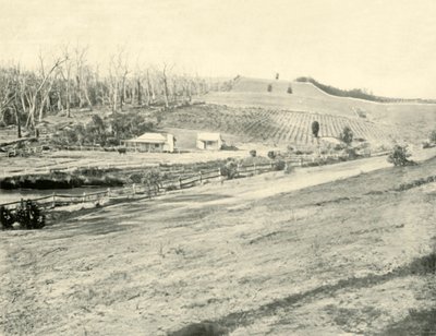 Bush Workmans Home, Gippsland, Victoria, 1901. alkotó: Unbekannt