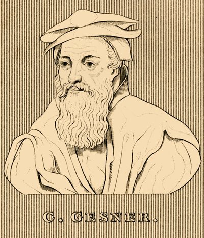 C. Gesner, 1516-1565, 1830 alkotó: Unbekannt