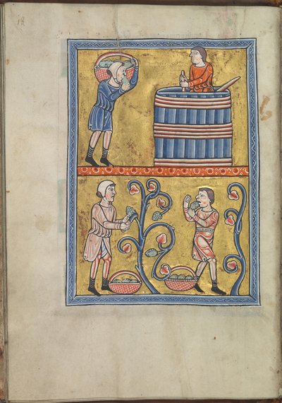 Naptár, szeptember, szőlőt szedő és taposó férfiak - Akvitániai Eleanor zsoltára (kb. 1185) - KB 76 F 13, fólium 009v alkotó: Unbekannt