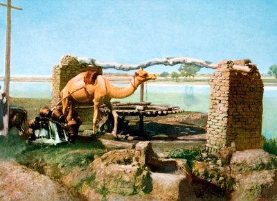 Teve és shaduf, Luxor, Egyiptom, XX. század alkotó: Unbekannt
