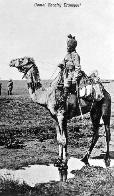 Tevelovasság szállítása, India, XX. század alkotó: Unbekannt
