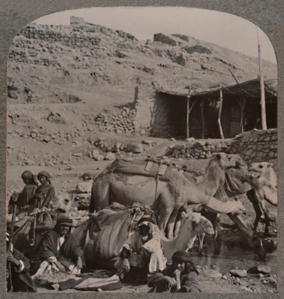 Tevevonat Jerashból, öntözés Elizeus kútjánál, 1900 alkotó: Unbekannt