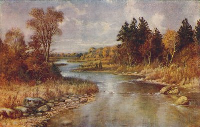 Kanadai erdei jelenet, 1924 alkotó: Unbekannt