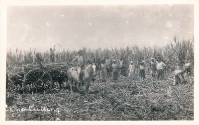 nádvágás, 1930 alkotó: Unbekannt