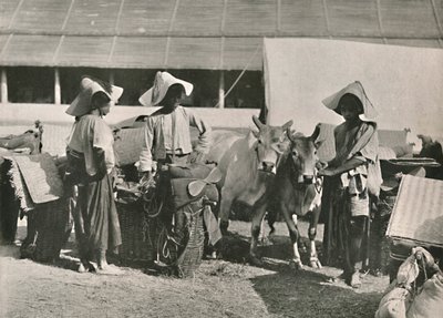 Karaván-jelenet Shansszal Bhamóban, 1900. alkotó: Unbekannt