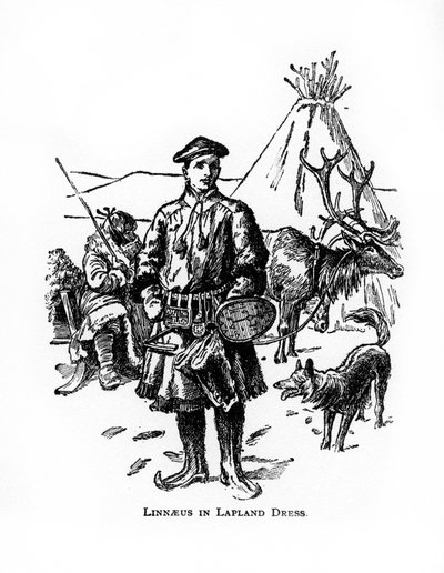 Carolus Linnaeus, 18. századi svéd botanikus, orvos és zoológus, XX. alkotó: Unbekannt