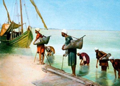 Vizet hordva, Luxor, Egyiptom, XX. század alkotó: Unbekannt