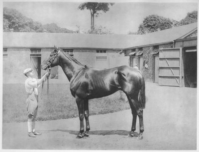 Chandon, 1911 alkotó: Unbekannt