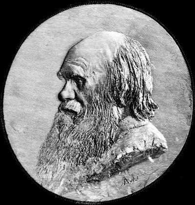 Charles Darwin, 1882 alkotó: Unbekannt