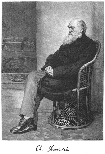 Charles Darwin angol természettudós, 1883 alkotó: Unbekannt