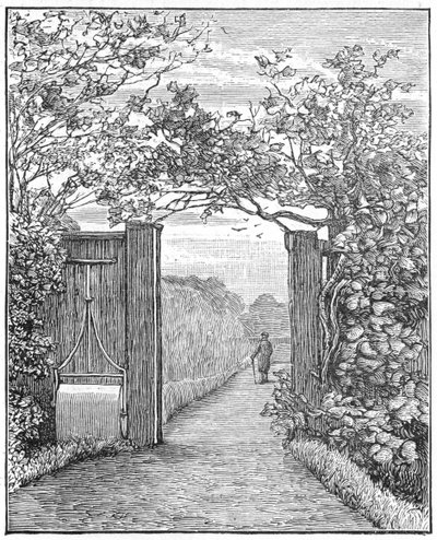Charles Darwin a homokos sétán a Down House-ban, 1870 1887 alkotó: Unbekannt