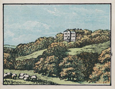 Chesterfield, 1910. alkotó: Unbekannt