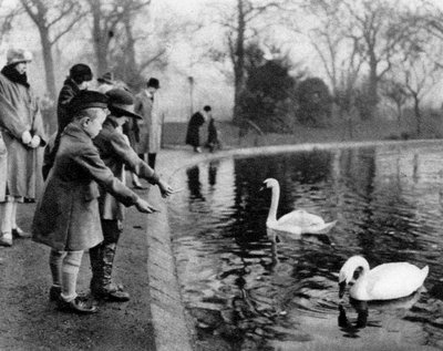 Gyermekek etetik a hattyúkat a Serpentine-on, London, 1926-1927 alkotó: Unbekannt