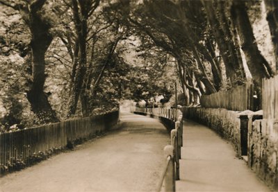 Chine Avenue, Shanklin, I.W., 1920. alkotó: Unbekannt
