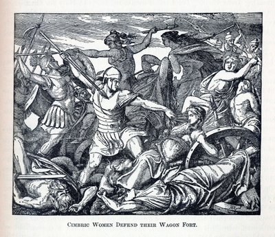 Cimbric nők megvédik kocsierődjüket, 1882 alkotó: Unbekannt