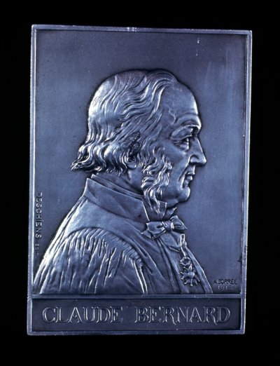 Claude Bernard, 19. századi francia fiziológus, 1913 alkotó: Unbekannt