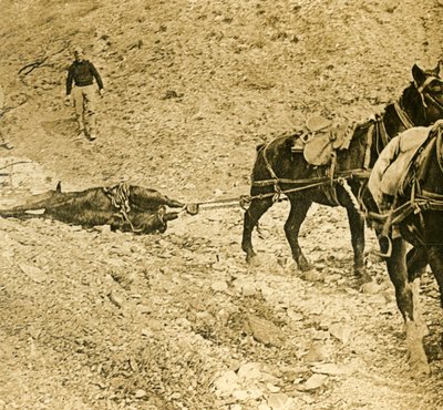 A csatatér megtisztítása, c1914-c1918 alkotó: Unbekannt