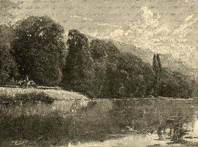 Cliefden Woods, 1898. alkotó: Unbekannt