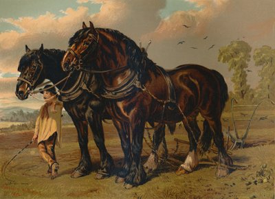 Clydesdale Stallion & Mare, 1879. alkotó: Unbekannt