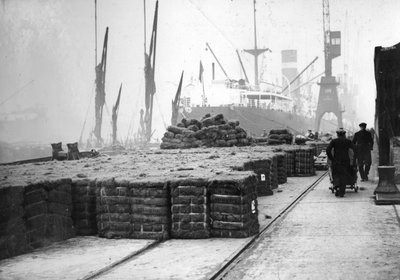 Kókusztermelés, XX. század alkotó: Unbekannt