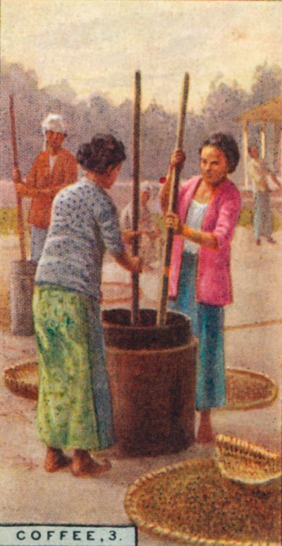 Kávé, 3. A bab héja, Java, 1928 alkotó: Unbekannt