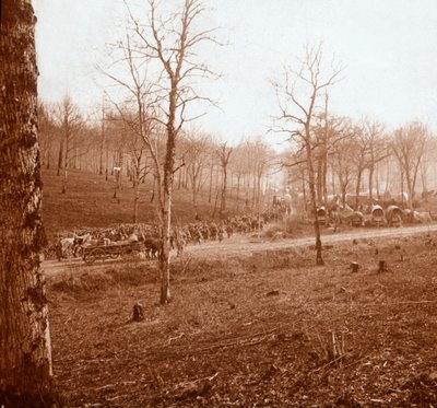Csapatoszlop, Genicourt, Észak-Franciaország, 1914-c1918 alkotó: Unbekannt
