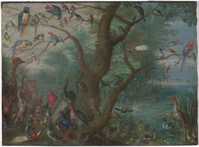 Madarak koncertje, 16601670. alkotó: Unbekannt