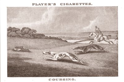 Coursing-11, 1924. alkotó: Unbekannt