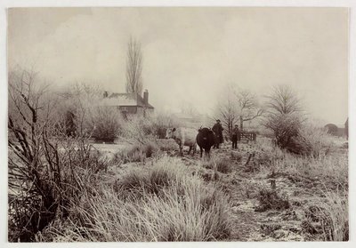 "Tehenek fagyos mezőn", 1890 alkotó: Unbekannt