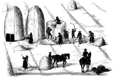 Vetésforgó: rozsfű cséplés vetőmagnak, 1855 alkotó: Unbekannt