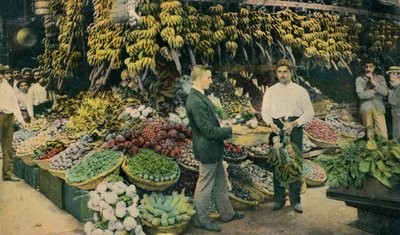Kubai Gyümölcsbolt, c1910 alkotó: Unbekannt
