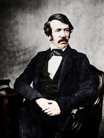 David Livingstone, skót misszionárius és felfedező, 19. század alkotó: Unbekannt