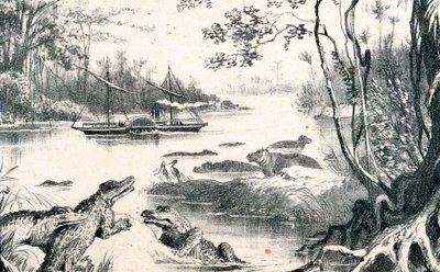 David Livingstone a Zambeziben, Afrika, 1852-1864 c1878 alkotó: Unbekannt