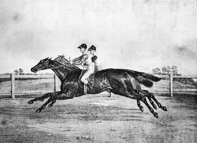 Dead-Heat Lanercost és Beeswing között, 1835-1850, 1911 alkotó: Unbekannt
