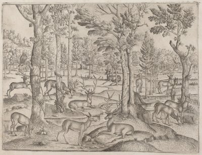 Szarvas az erdőben c. 1520. alkotó: Unbekannt